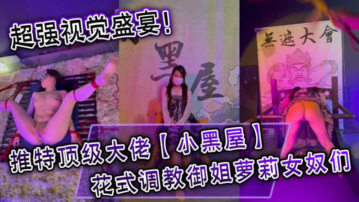 超强视觉盛宴推特顶级大佬小黑屋订阅最全完整视图集花.式调教御姐萝莉女奴们