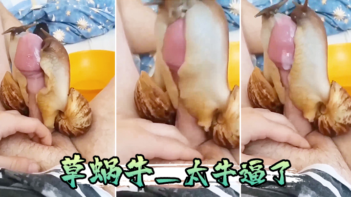 草蜗牛_太牛逼了的