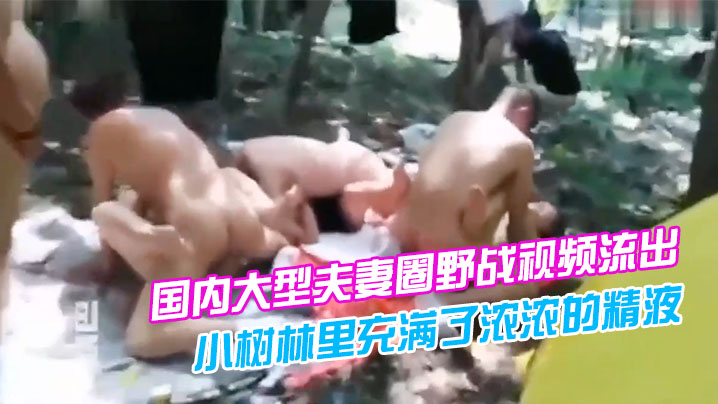 国内大型夫妻圈野战视频流出我朋友想知道这是哪里感觉.小树林里充满了浓浓的精液味道