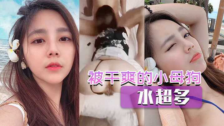 被干爽的小母狗水超多的