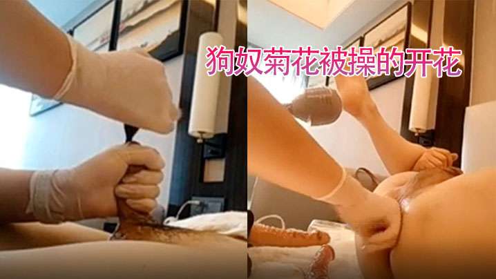 狗奴舔姨妈巾狗奴菊花被操的开花的