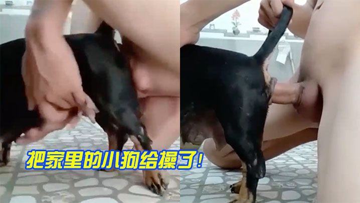 把家里小狗操了的