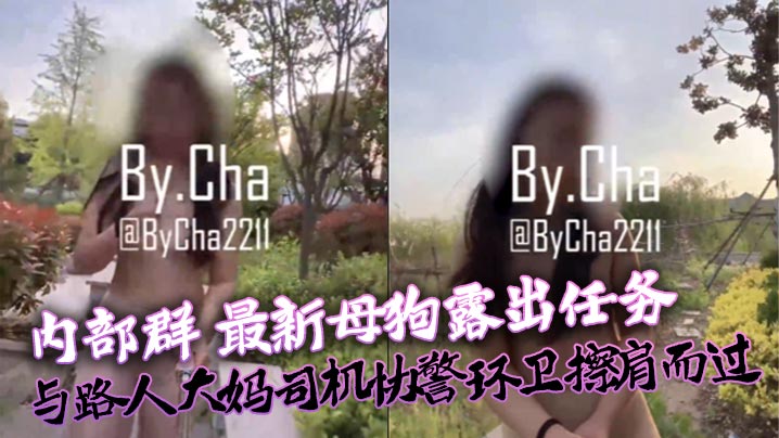 查小理内部群最新母狗露出任务与路人大妈司机协警环卫的擦肩而过